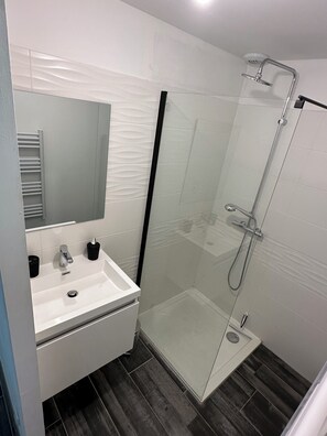 Shower, hair dryer, towels, soap - House 4 bedrooms, private garden - near Lac d'Orient and Troyes - Up to 10 people (Lusigny-sur-Barse)