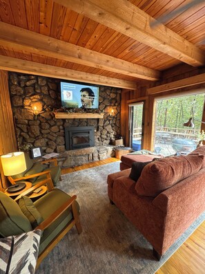 Smart TV, fireplace, books