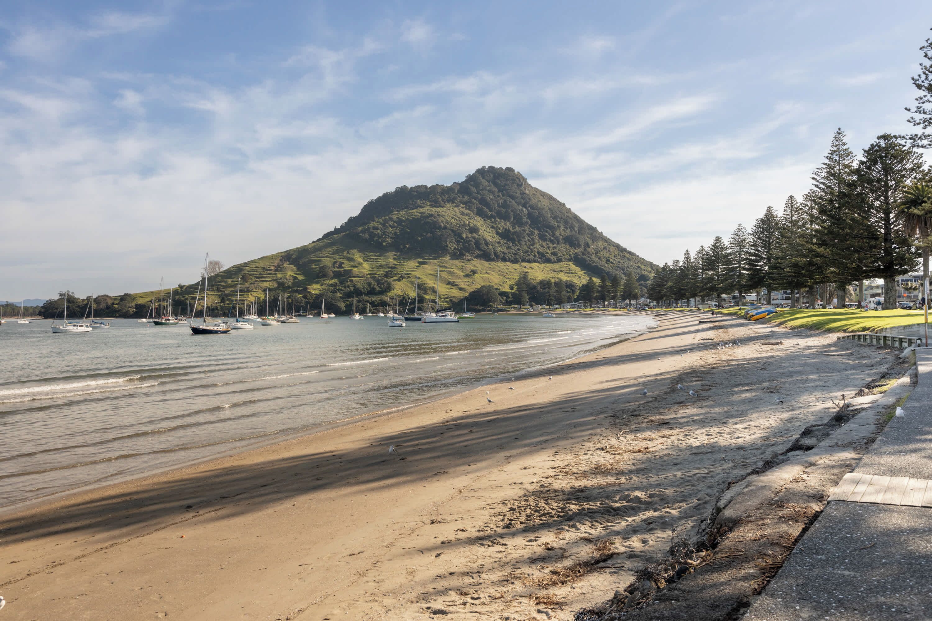 Une plage avec des bateaux, une rive sablonneuse et une colline boisée en arrière-plan.