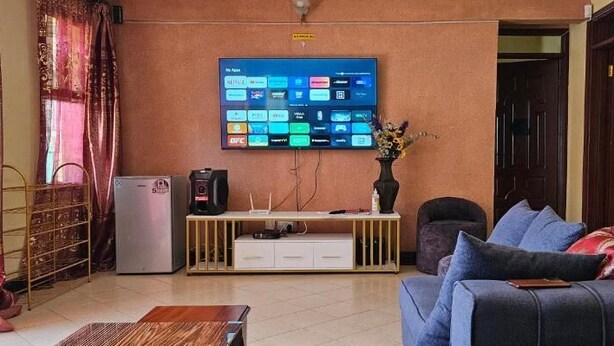 Un salon avec un téléviseur fixé au mur, affichant diverses applications, un petit réfrigérateur, un canapé avec des coussins et un vase décoratif.