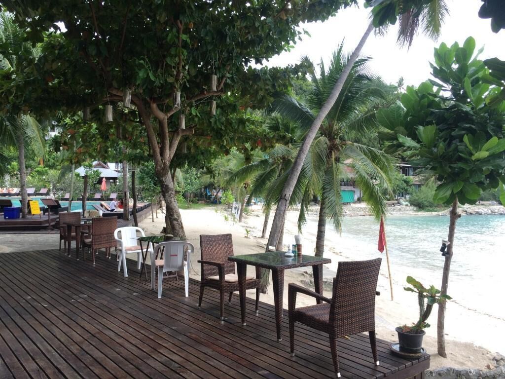 A wooden deck with wicker furniture, overlooking a beach with palm trees and a pool area.