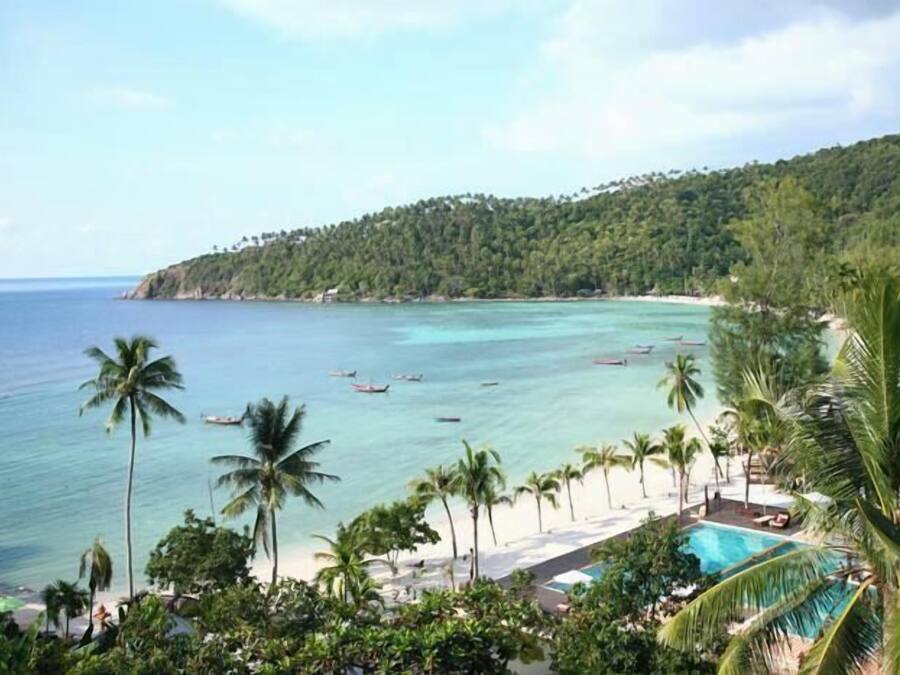 A beach resort with a pool, palm trees, and boats on the water.