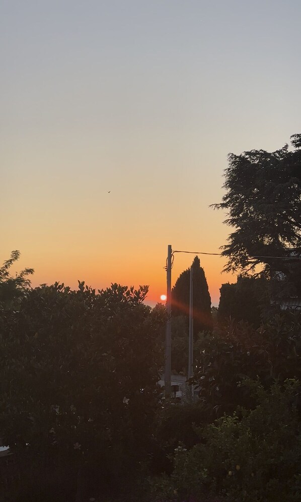 Un coucher de soleil avec un ciel dégagé, un poteau électrique et un feuillage dense.