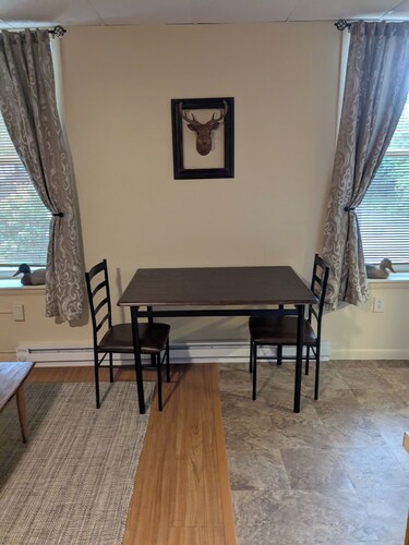 Cozy apartment on the Susquehanna river and near the Pine Creek Rails to Trails.