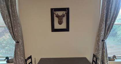 Cozy apartment on the Susquehanna river and near the Pine Creek Rails to Trails.