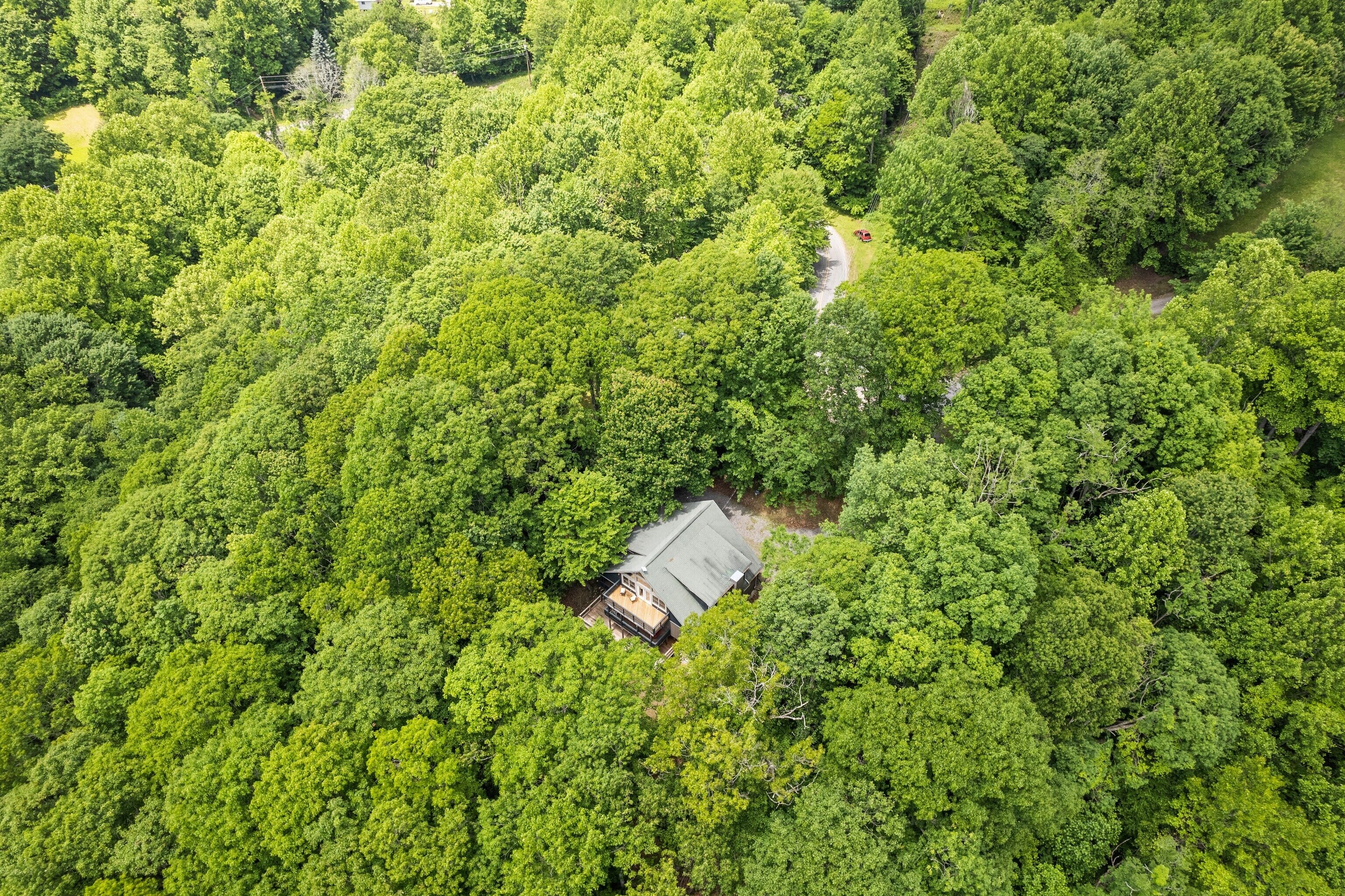 An aerial view of a forested area with a small cabin surrounded by dense trees.