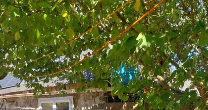 maison de caractĂšre de 1816