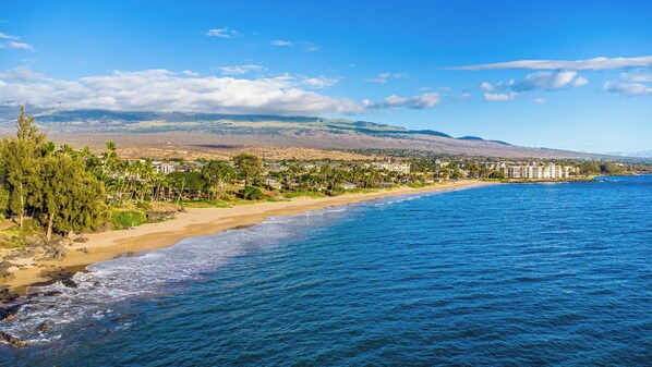 A coastal view with a sandy beach, ocean, and a residential area with buildings and palm trees.