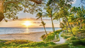 Un sendero en la playa con palmeras y vista al océano al atardecer.