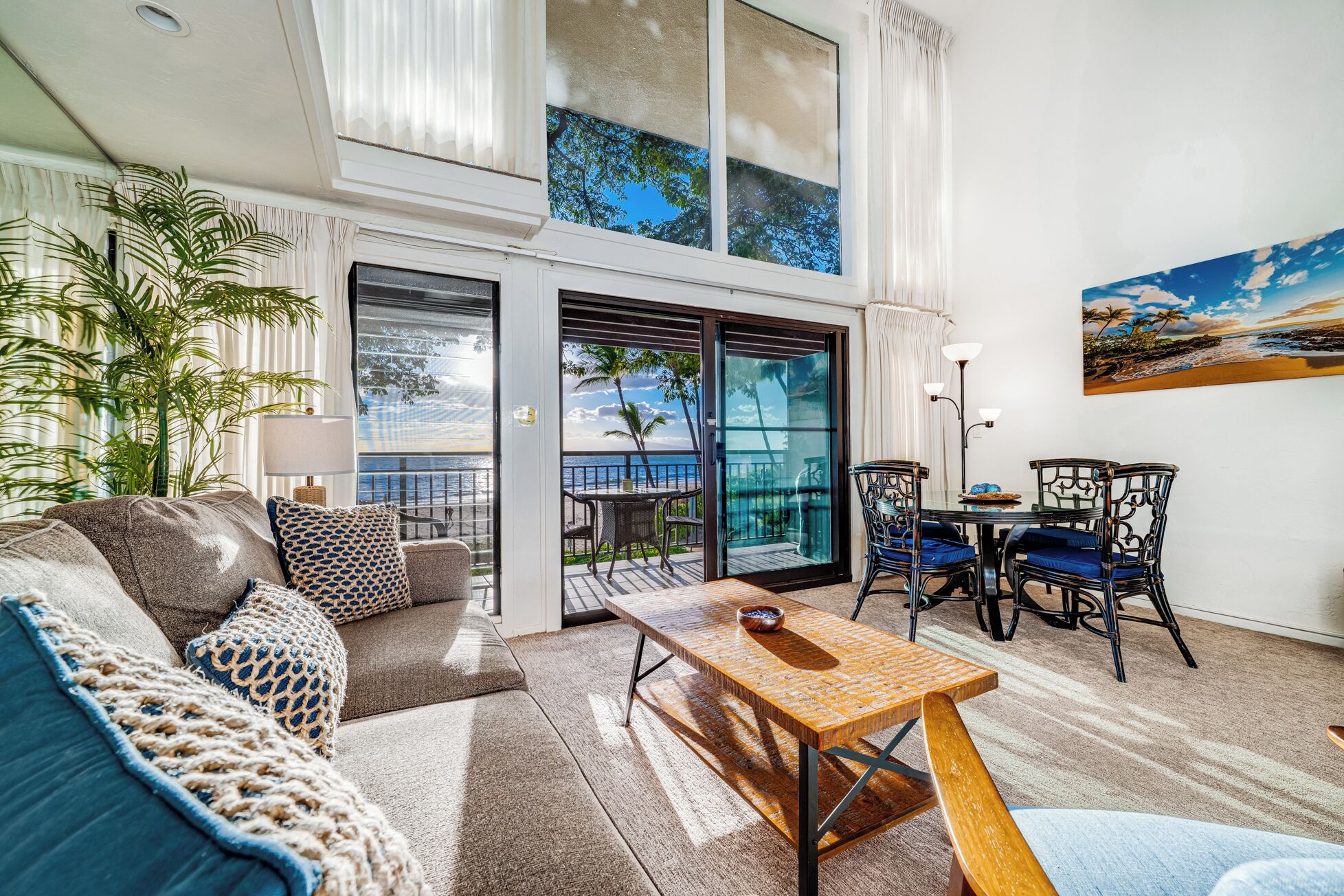 电视、DVD 播放器