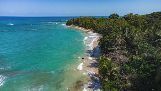 Vista costera con aguas turquesas cristalinas, una playa de arena y densa vegetación tropical.