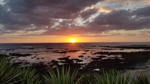Un coucher de soleil sur une plage rocheuse, avec une végétation clairsemée au premier plan.