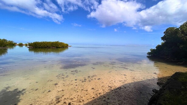 A beach with clear shallow waters, a sandy shore, and a small island with dense vegetation.