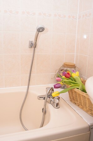 Séchoir à cheveux, serviettes fournies, savon, papier de toilette