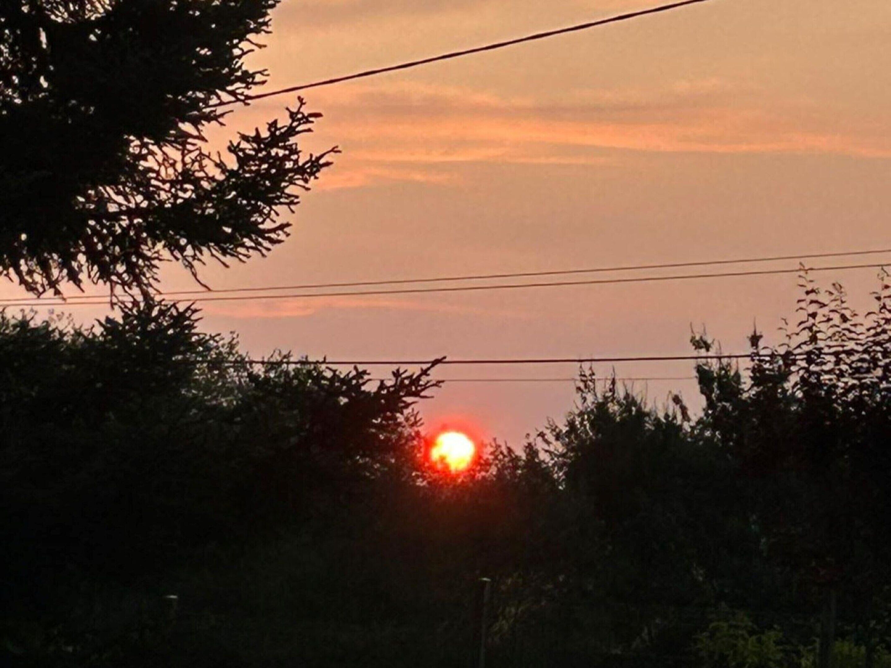 Um pôr do sol com o sol parcialmente escondido pelas árvores.