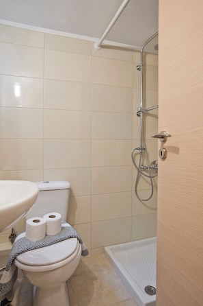 Hair dryer, towels, soap, toilet paper
