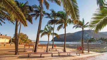 Apartment, 1 Bedroom, Patio, City View | Property grounds