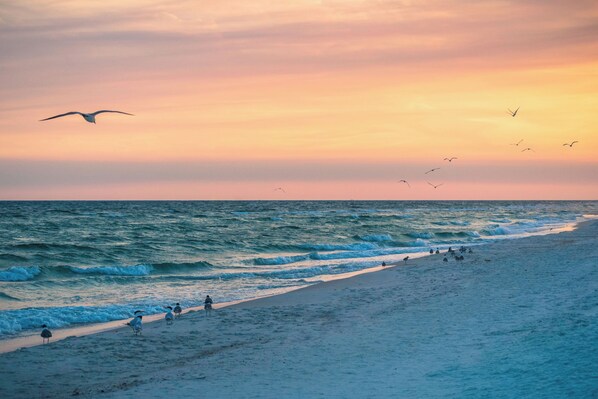 Beach