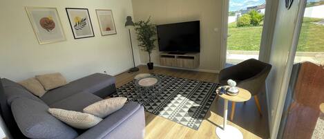 Un salon moderne avec un canapé gris, un téléviseur à écran plat, un tapis à motifs et une plante en pot.