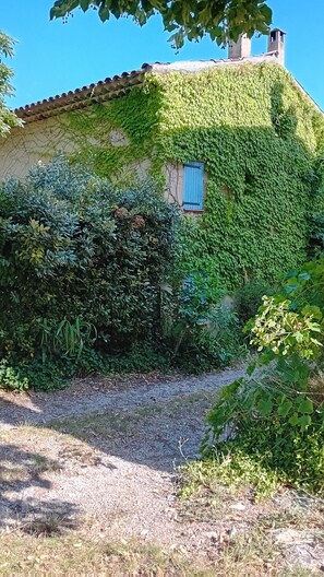 A house covered in ivy with a small window and a chimney. - 2-bedroom Provencal country house with mezzanine, garden and swimming pool (SIGONCE)
