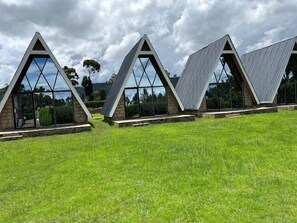 Une rangée de bâtiments modernes, de forme triangulaire et dotés de grandes fenêtres, se dresse dans un espace verdoyant sous un ciel nuageux.