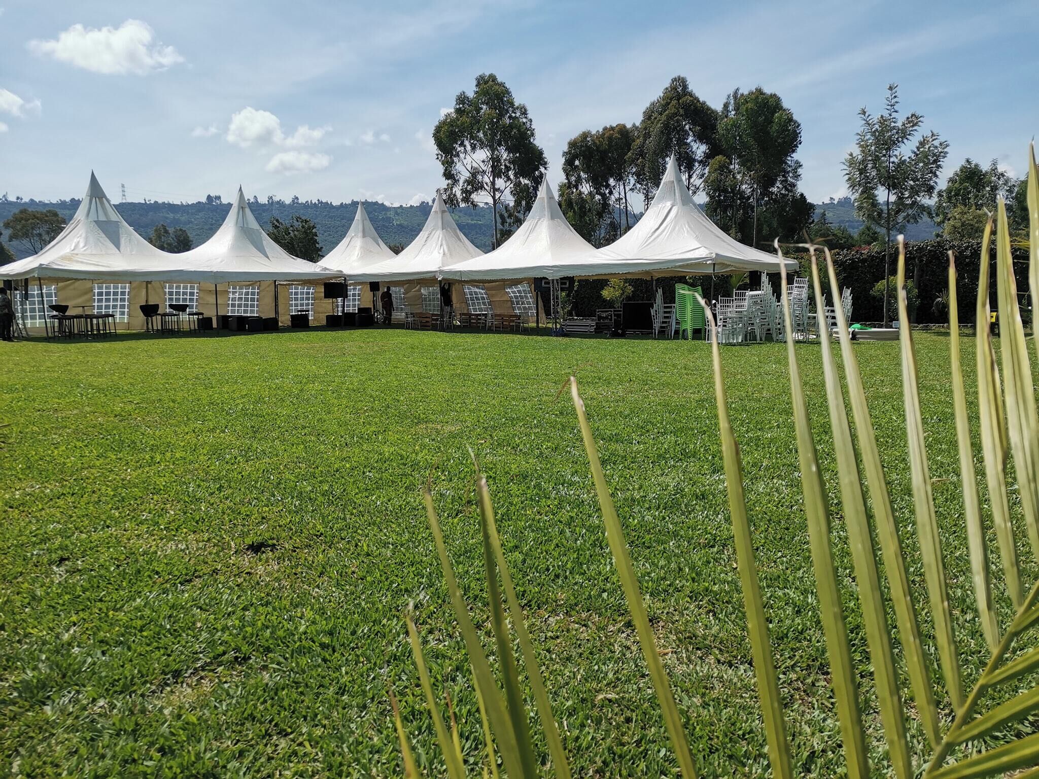 A grassy field with white tents and tables, likely for an event.