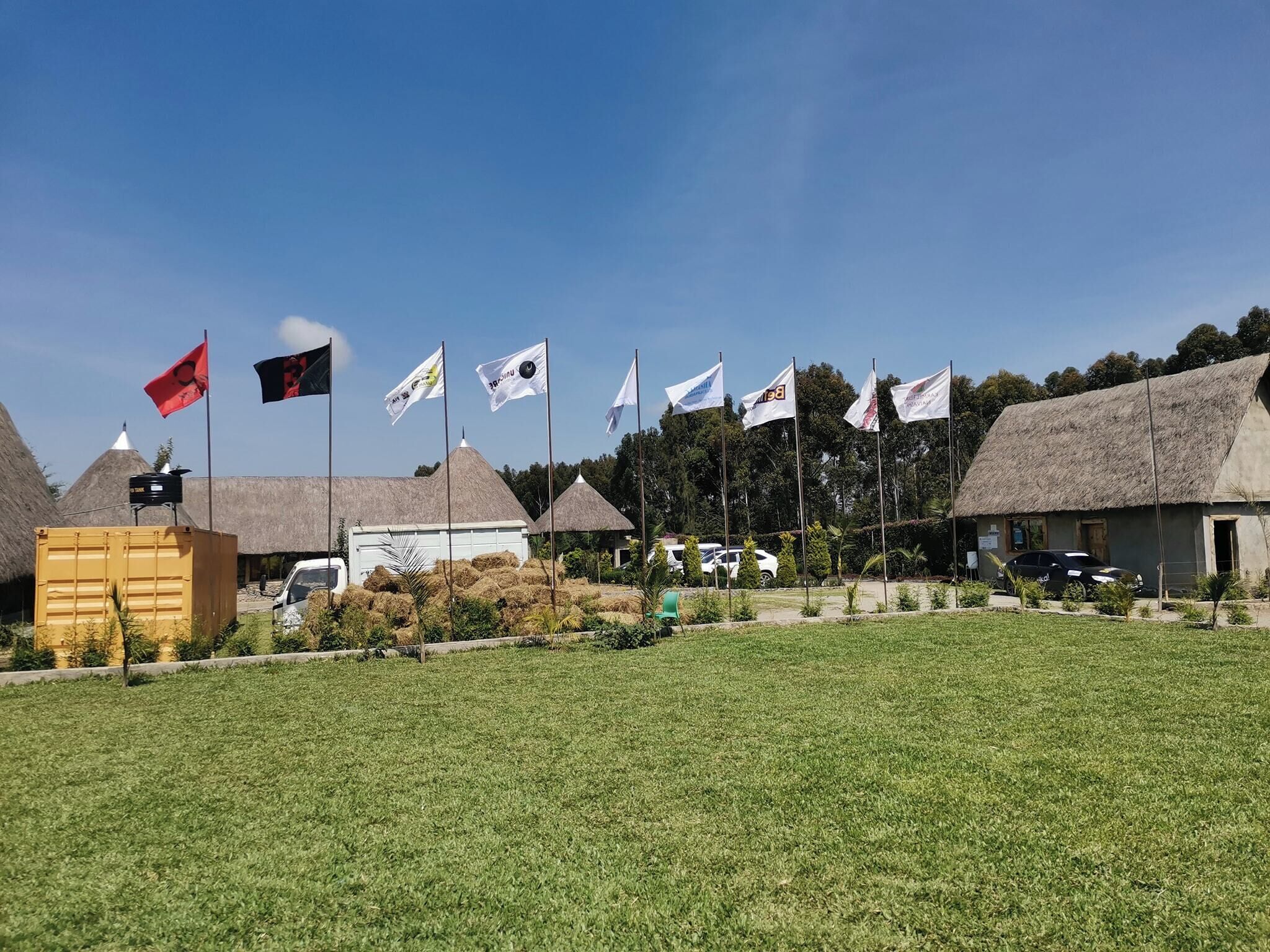 Un entorno rural con edificios de techo de paja, un campo de hierba y varias banderas.