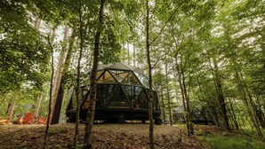 A geodesic dome structure in a forested area with a dirt ground and wooden chairs. - Stargazing dome w/ hot tub + sauna access - 02 (Freeport)