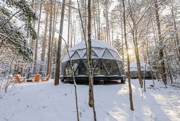 Enceinte de l’hébergement