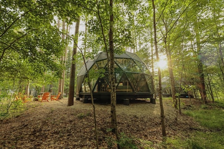 Property grounds. Large, luxurious geodesic dome - 02