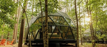 Large, luxurious geodesic dome - 02