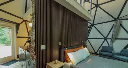 Large, luxurious geodesic dome - 02