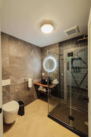 Shower, hair dryer, towels