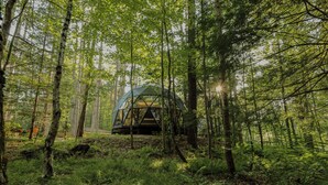 A geodesic dome structure surrounded by a forest. - Modern dome w/ full bath + spa access - 04 (Freeport)