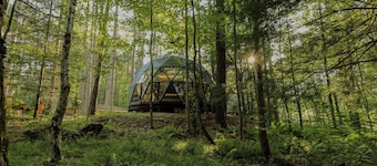 Large, luxurious geodesic dome - 04