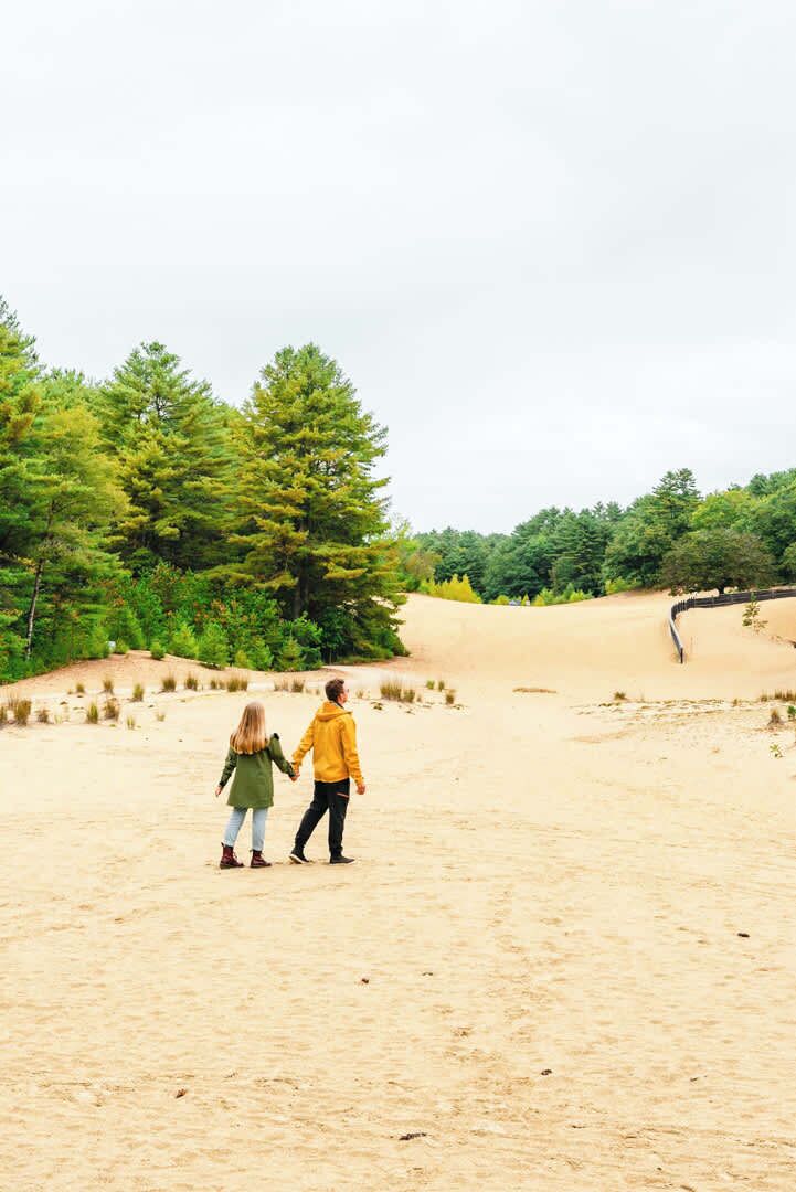 A couple walking on a sandy path surrounded by trees.