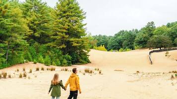 A couple walking on a sandy path surrounded by trees.