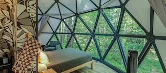 Large, luxurious geodesic dome - 04