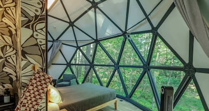 Large, luxurious geodesic dome - 04