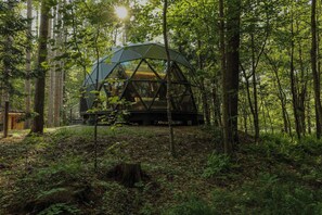 Exterior - Large, luxurious geodesic dome - 04 (Freeport)