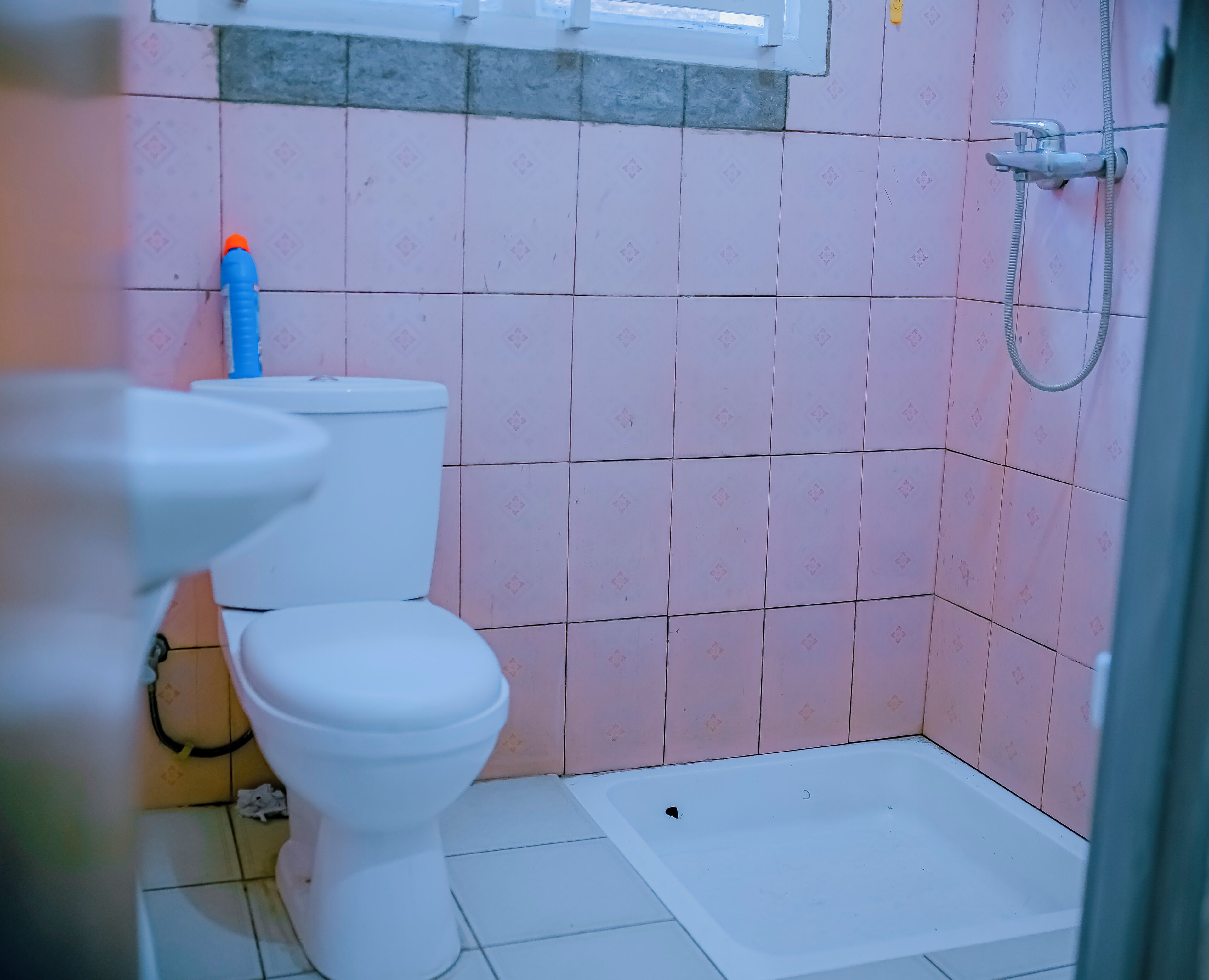 Shower, bidet, towels, toilet paper