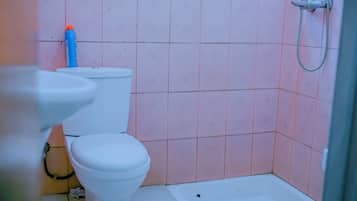 Shower, bidet, towels, toilet paper