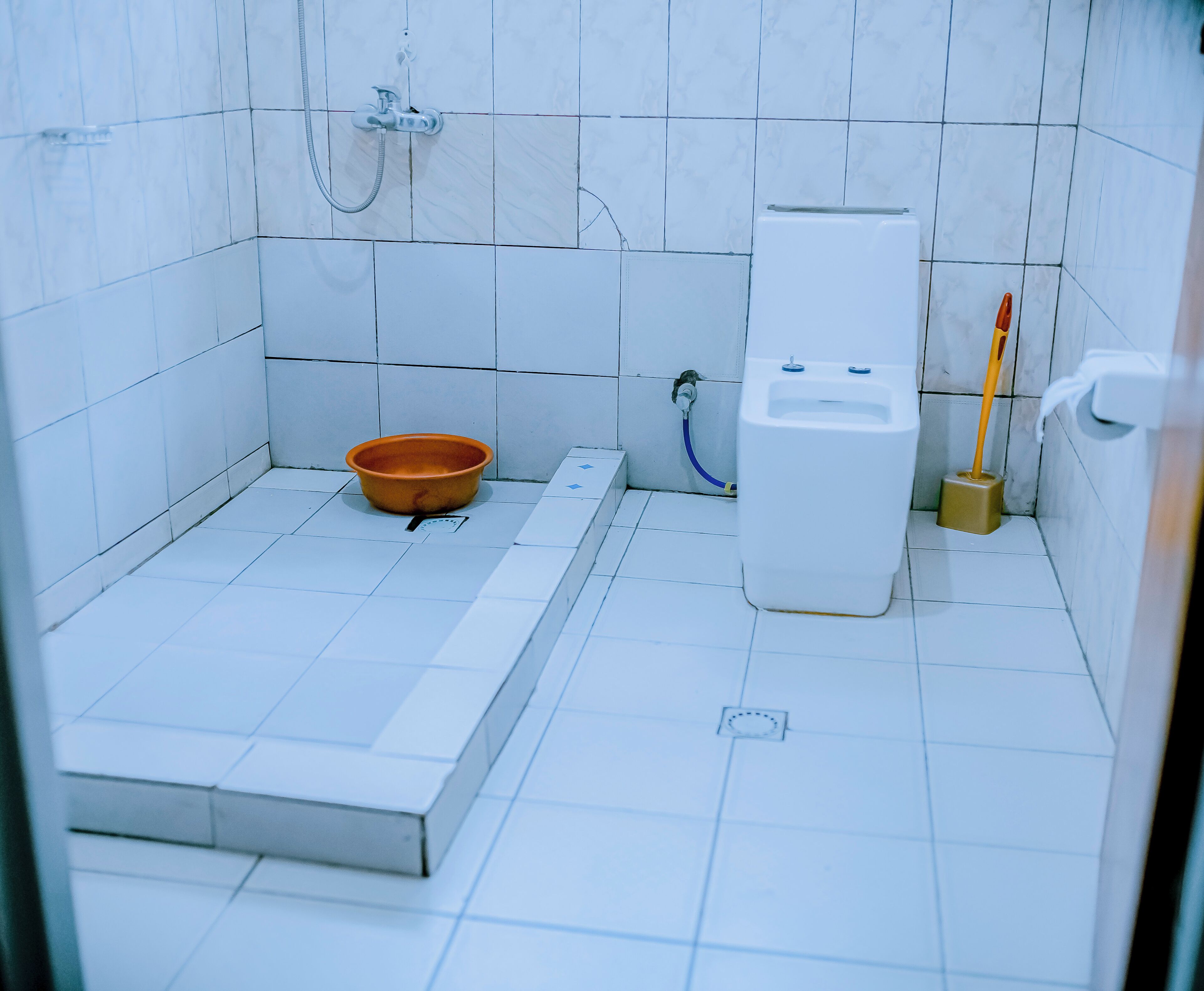 Shower, bidet, towels, toilet paper