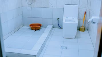 Shower, bidet, towels, toilet paper