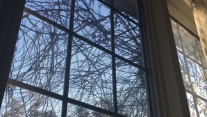 Una ventana con vistas a árboles desnudos y un cielo despejado.