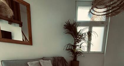 New apartment with a cozy and modern atmosphere in the heart of Cagliari.