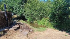 Een stenen muur met een metalen constructie eraan bevestigd, omringd door weelderige groene beplanting.