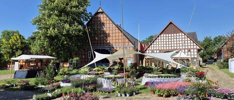 Terrein van de accommodatie