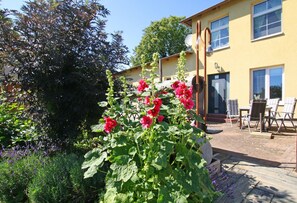 Apartment | Terrace/patio - Luxuriose Ferienwohnung mit Terrasse, Wiek (Wiek)