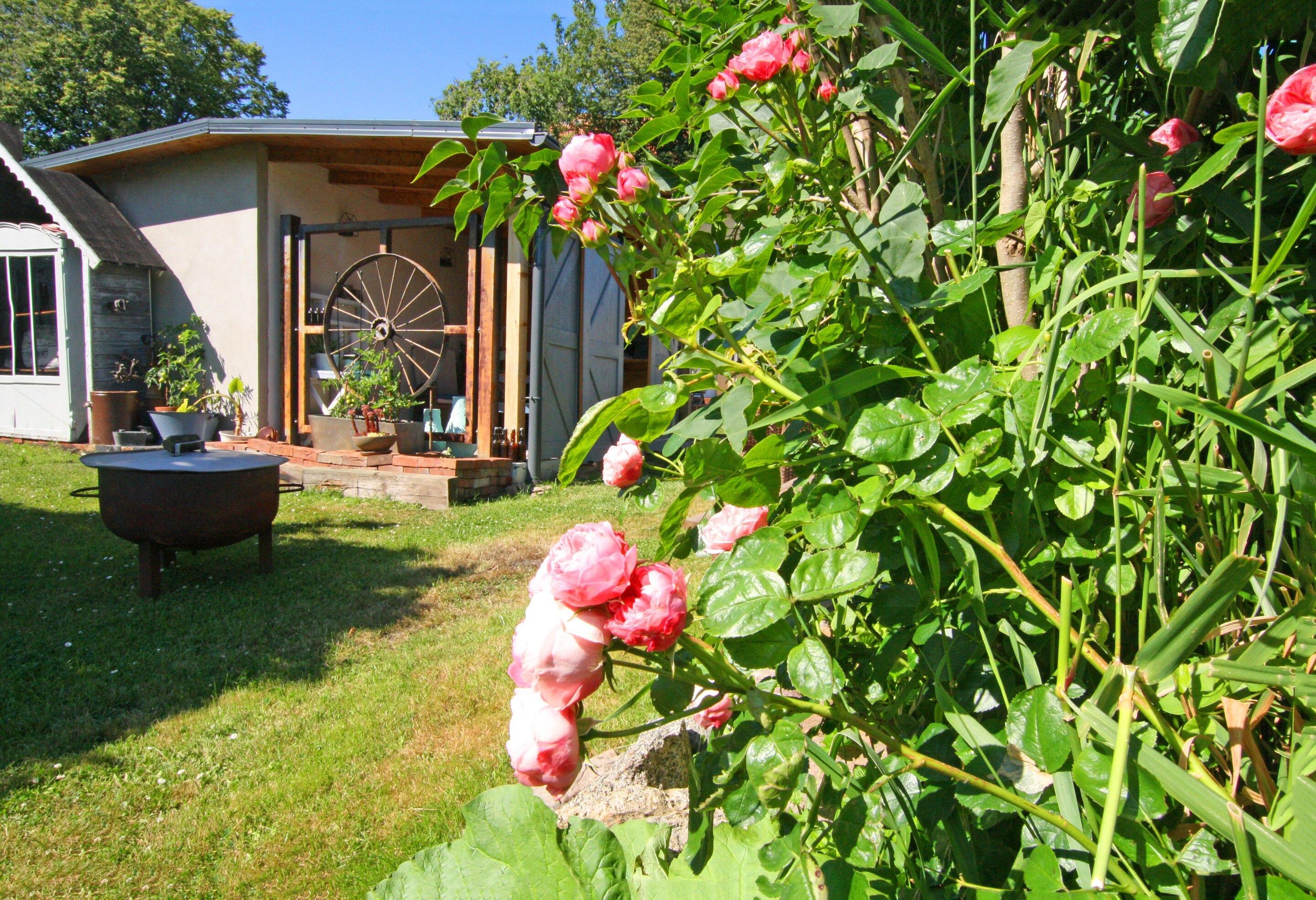Un jardin où s’épanouissent des rosiers, une brouette et, au fond, un bâtiment sur lequel on aperçoit une grande roue.